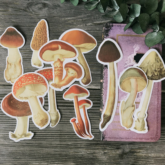 TN Big Mushroom Vellum Stickers